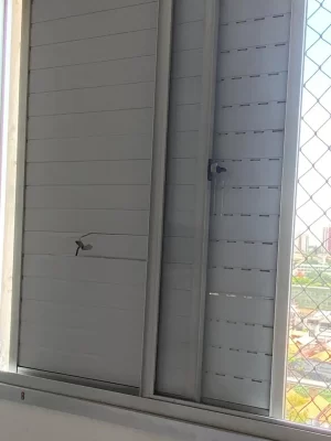 Imagem do WhatsApp de 2025-09-02 à(s) 12.34.19_9c4cad1a